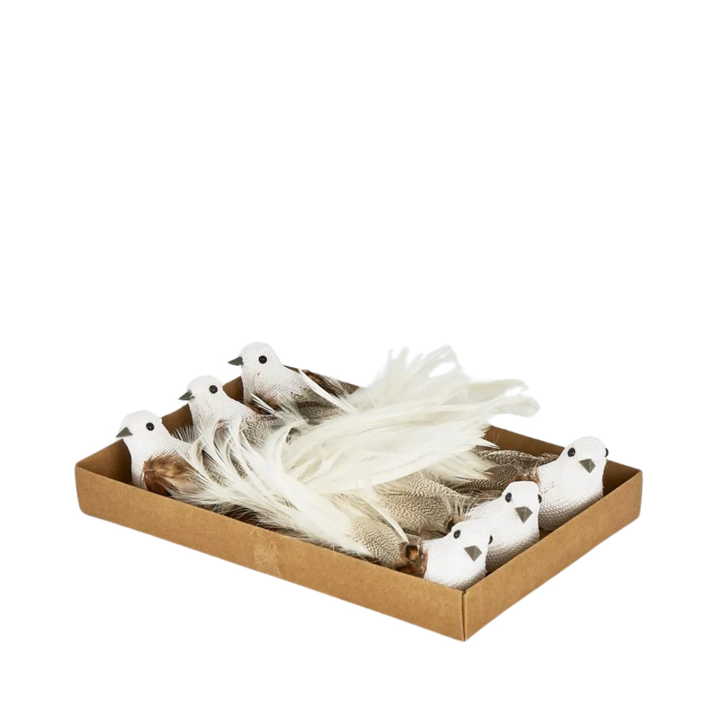 Twig and Feather burle feather bird in white and brown - set of 6