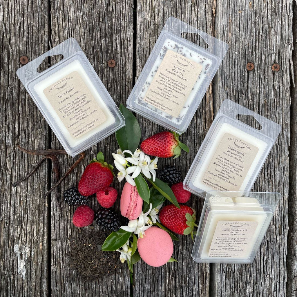 Twig and Feather Fruit Infusion Soy Wax melt fragrance bundle 