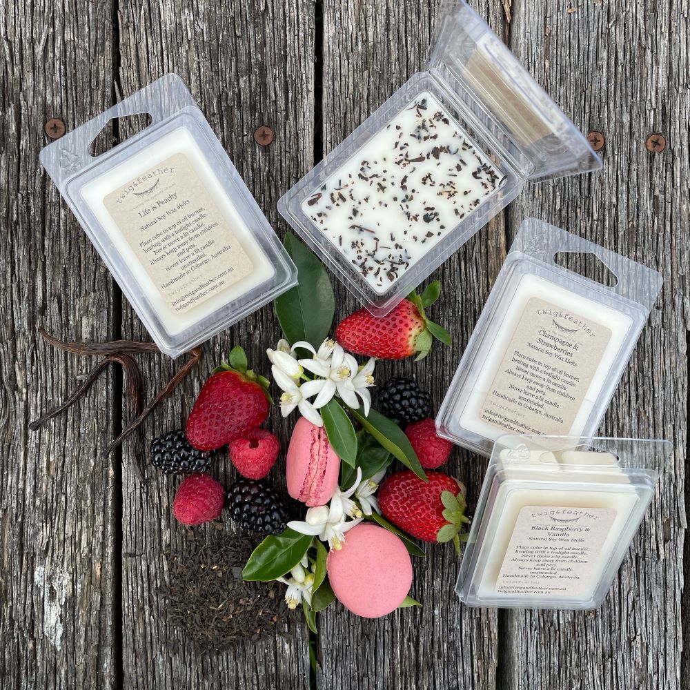 Twig and Feather Fruit Infusion Soy Wax melt gift set