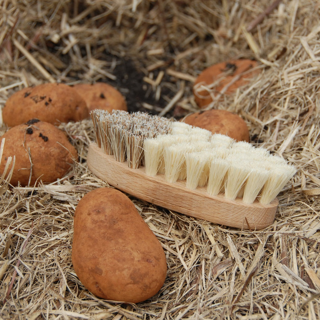 Vegetable Brush